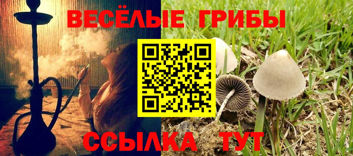 Тимашёвск  Псилоцибиновые грибы Psilocybine cubensis  Галлюциногенные грибы мухоморы  Вход с VPN 